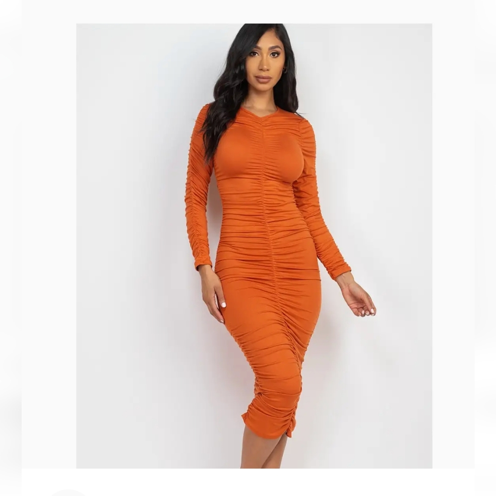 CLEARANCE NWT Capella Scrunch Dress
